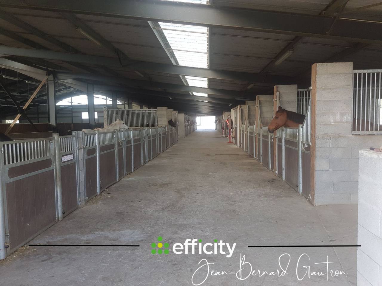 Pony club  Loire-Atlantique