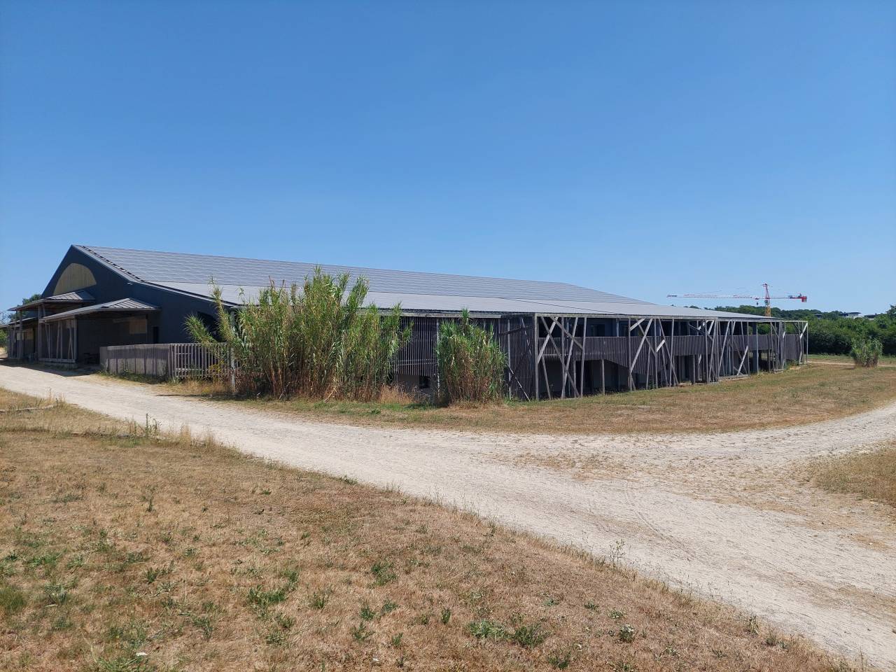 Pony club  Loire-Atlantique