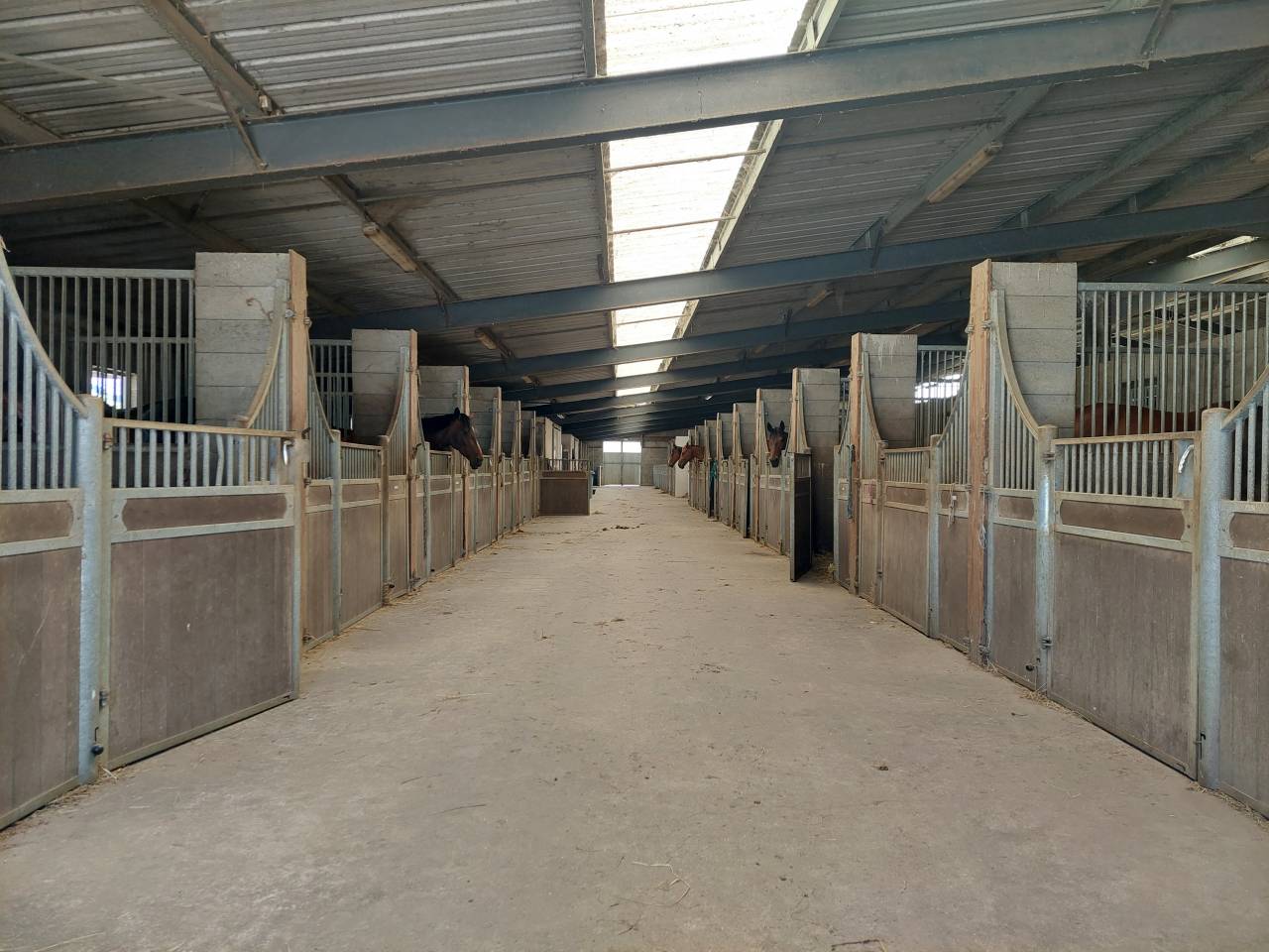 Pony club  Loire-Atlantique