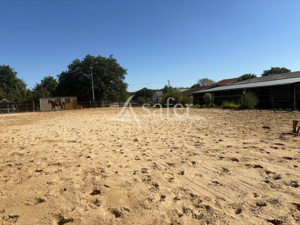 Equestrian property  Loire-Atlantique