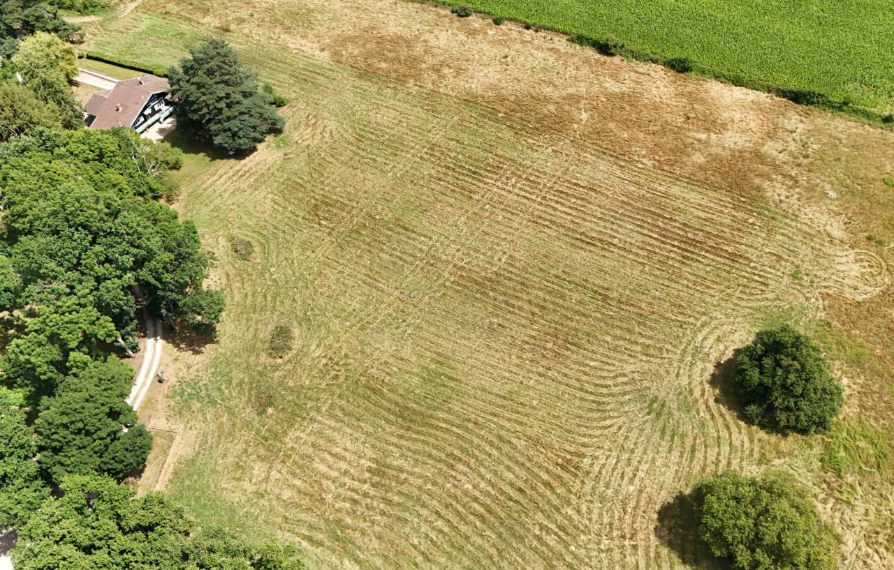 Luxurious equestrian property  Ain