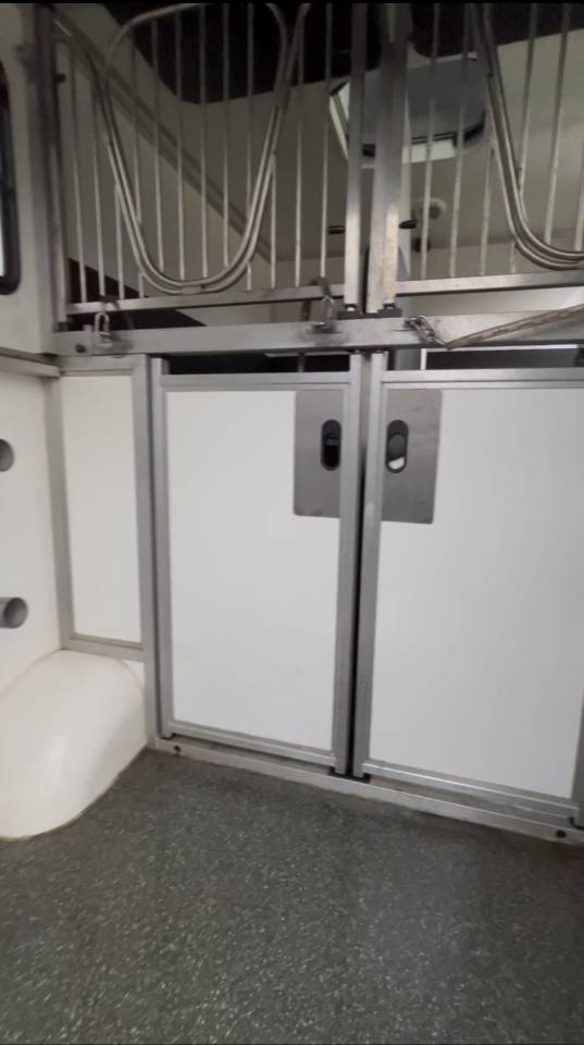 Horsebox HGV Renault DCI 180 2021 Used