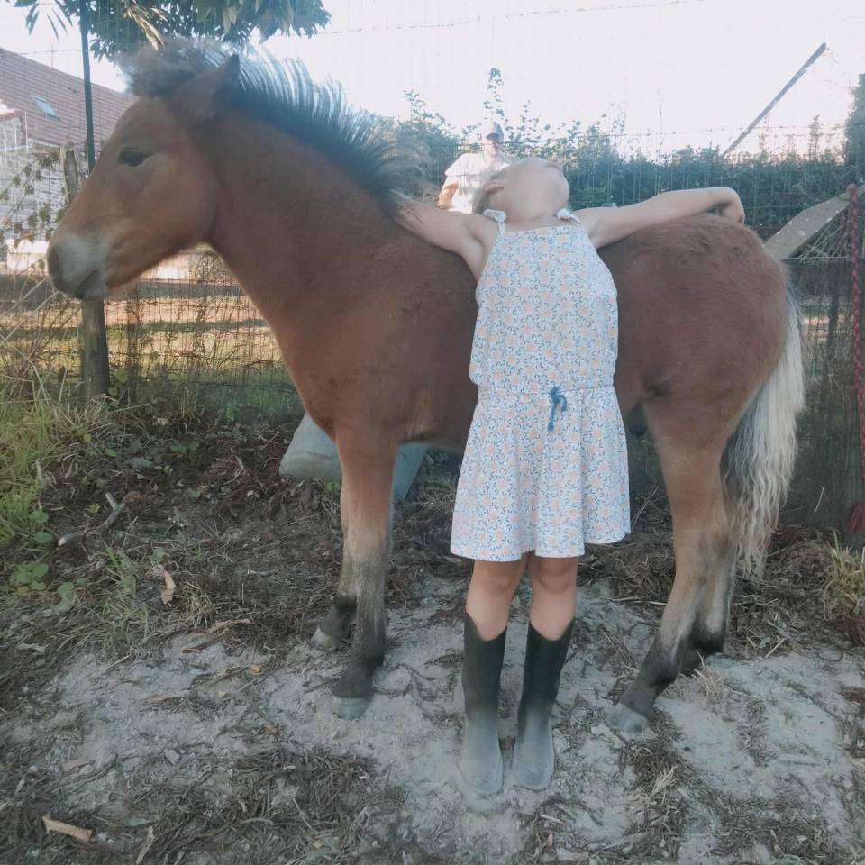 Colt No Origin Recorded For sale 2025 Bay