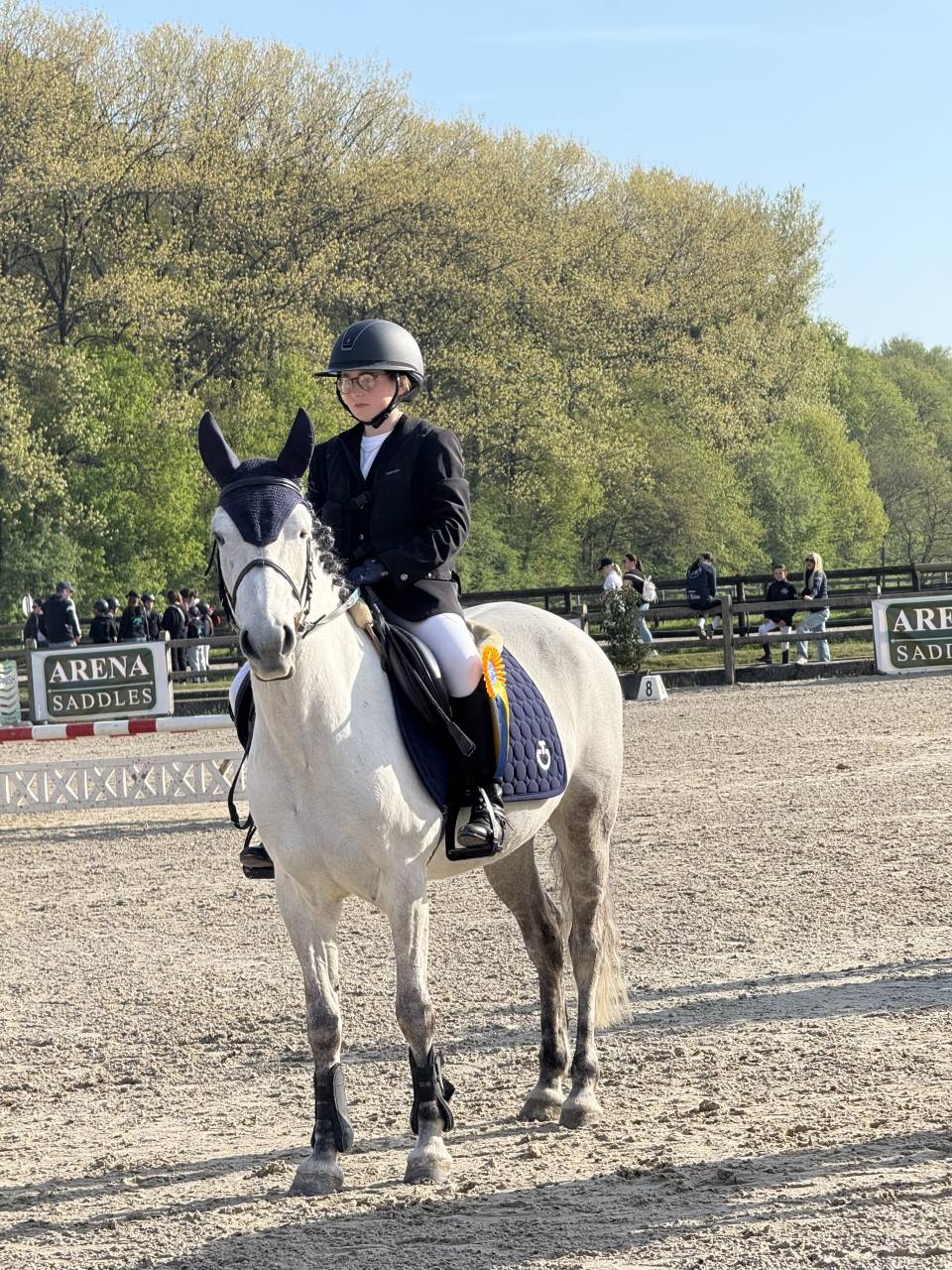 Mare No Origin Recorded For sale 2014 Grey