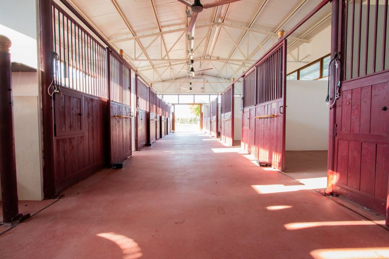 Equestrian farm  Verona