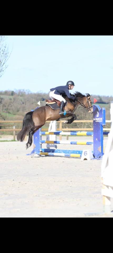 L'ancelot du ménage  - New Forest 2021 by SILVERLEA SIMPLY RED