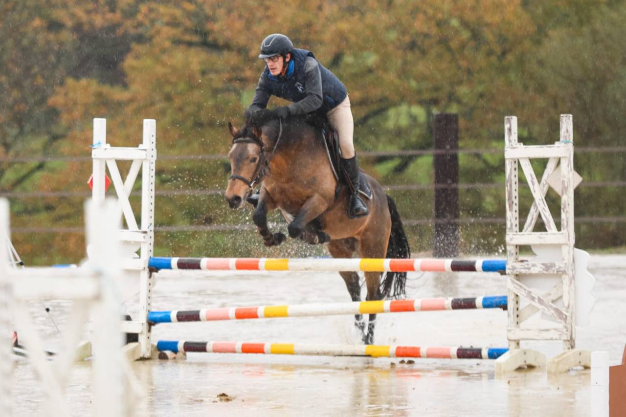 L'ancelot du ménage  - New Forest 2021 by SILVERLEA SIMPLY RED