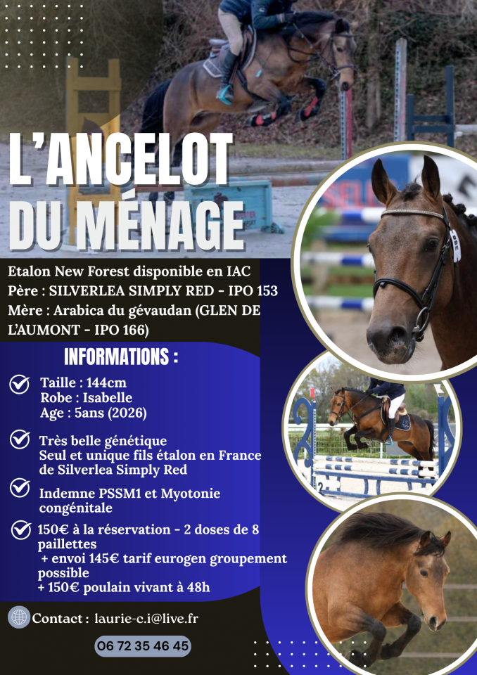 L'ancelot du m&eacute;nage  - New Forest 2021 by SILVERLEA SIMPLY RED