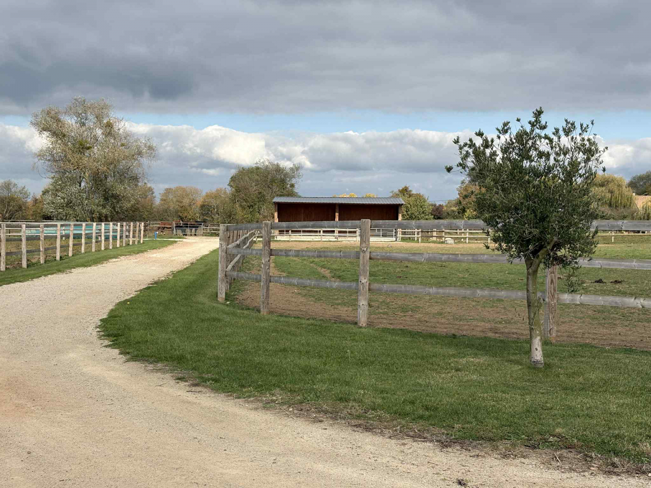 Livery yard  Calvados