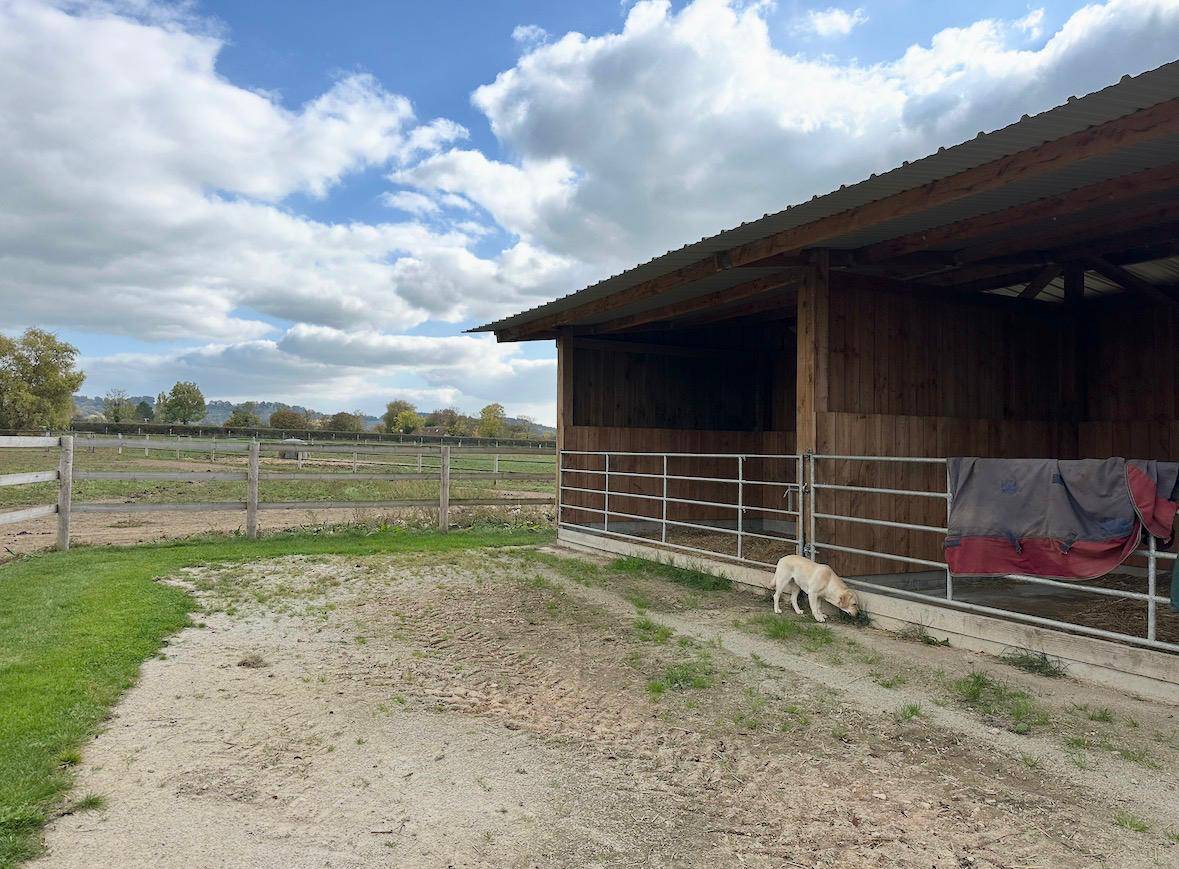 Livery yard  Calvados