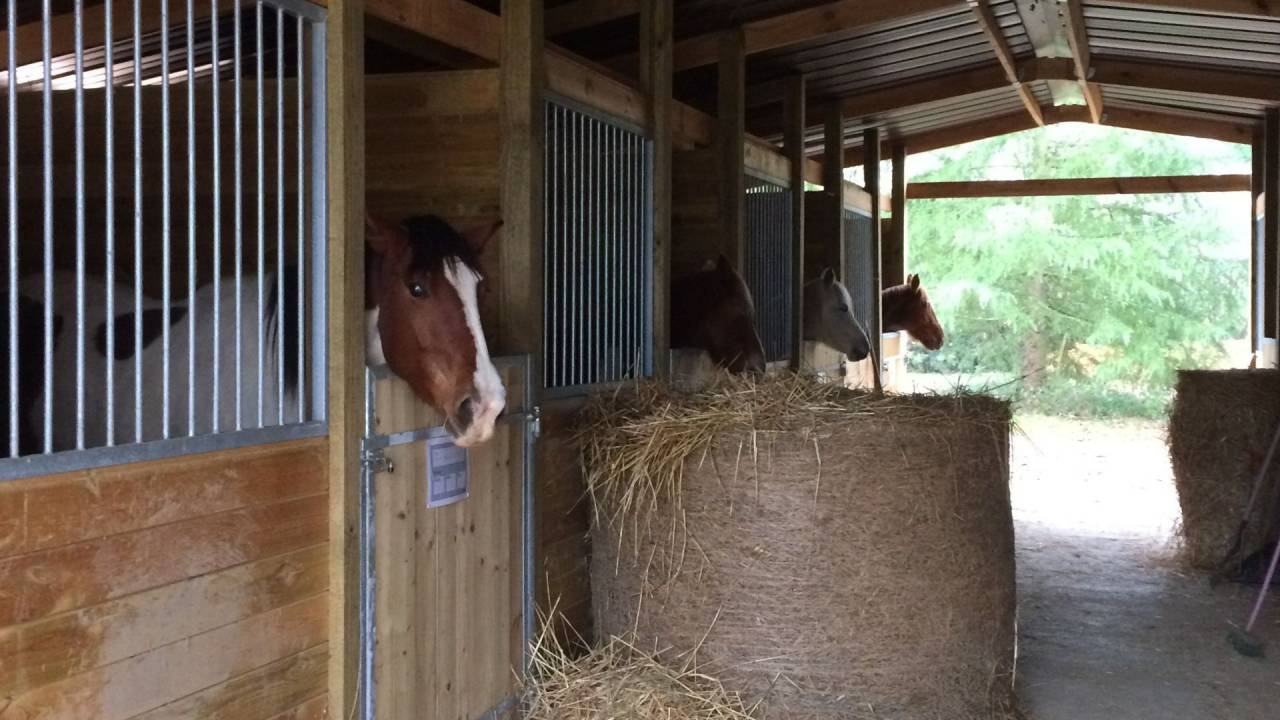 Equestrian property  Gers