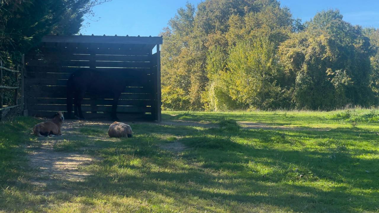 Equestrian property  Gers