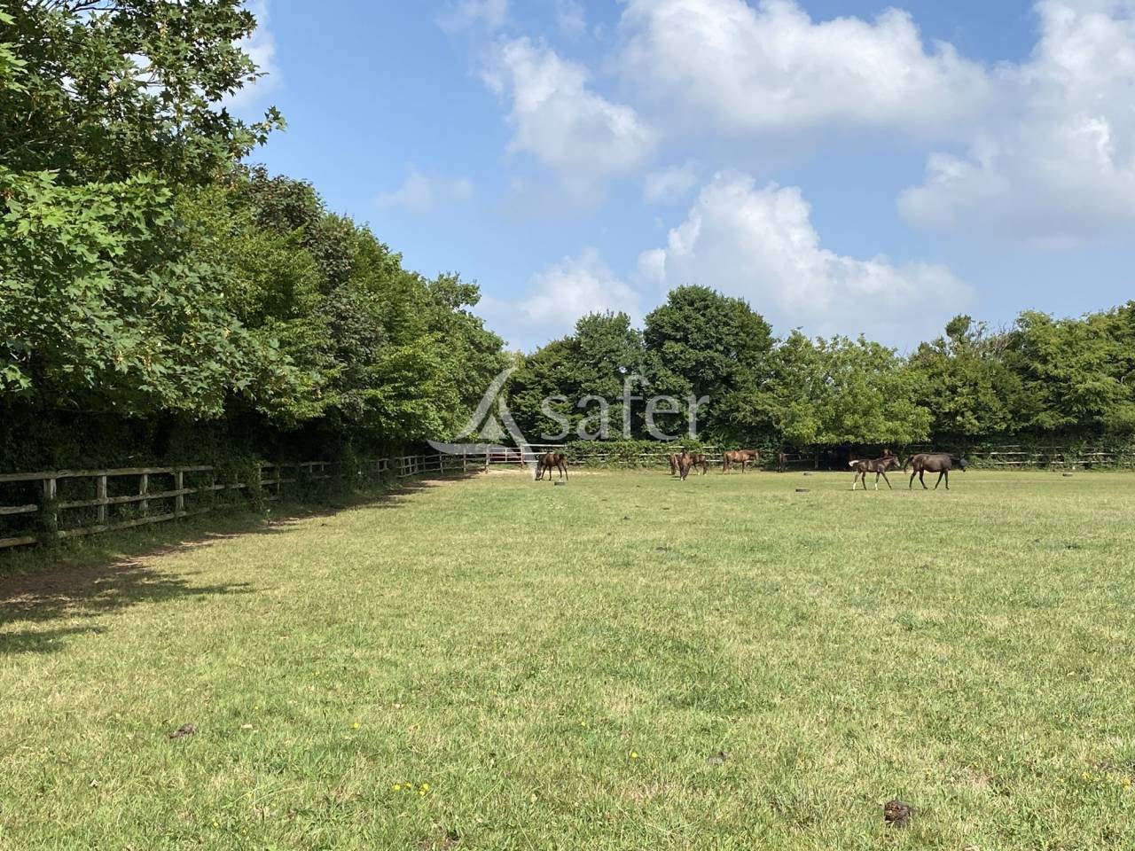 Other agricultural property  Orne