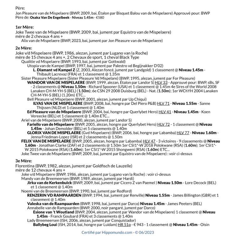 Mare BWP Belgian Warmblood For sale 2023 Bay