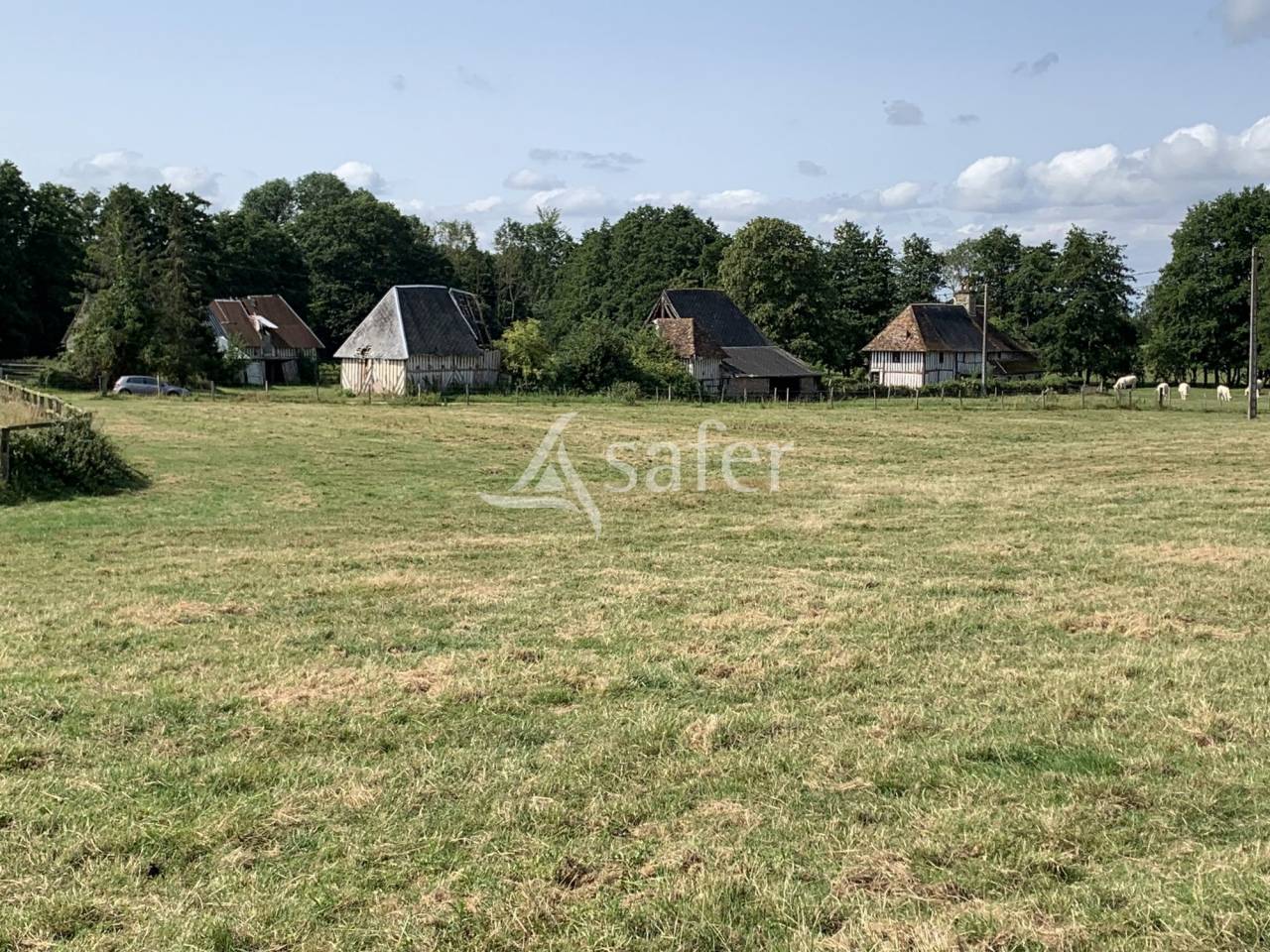 Equestrian property  Calvados