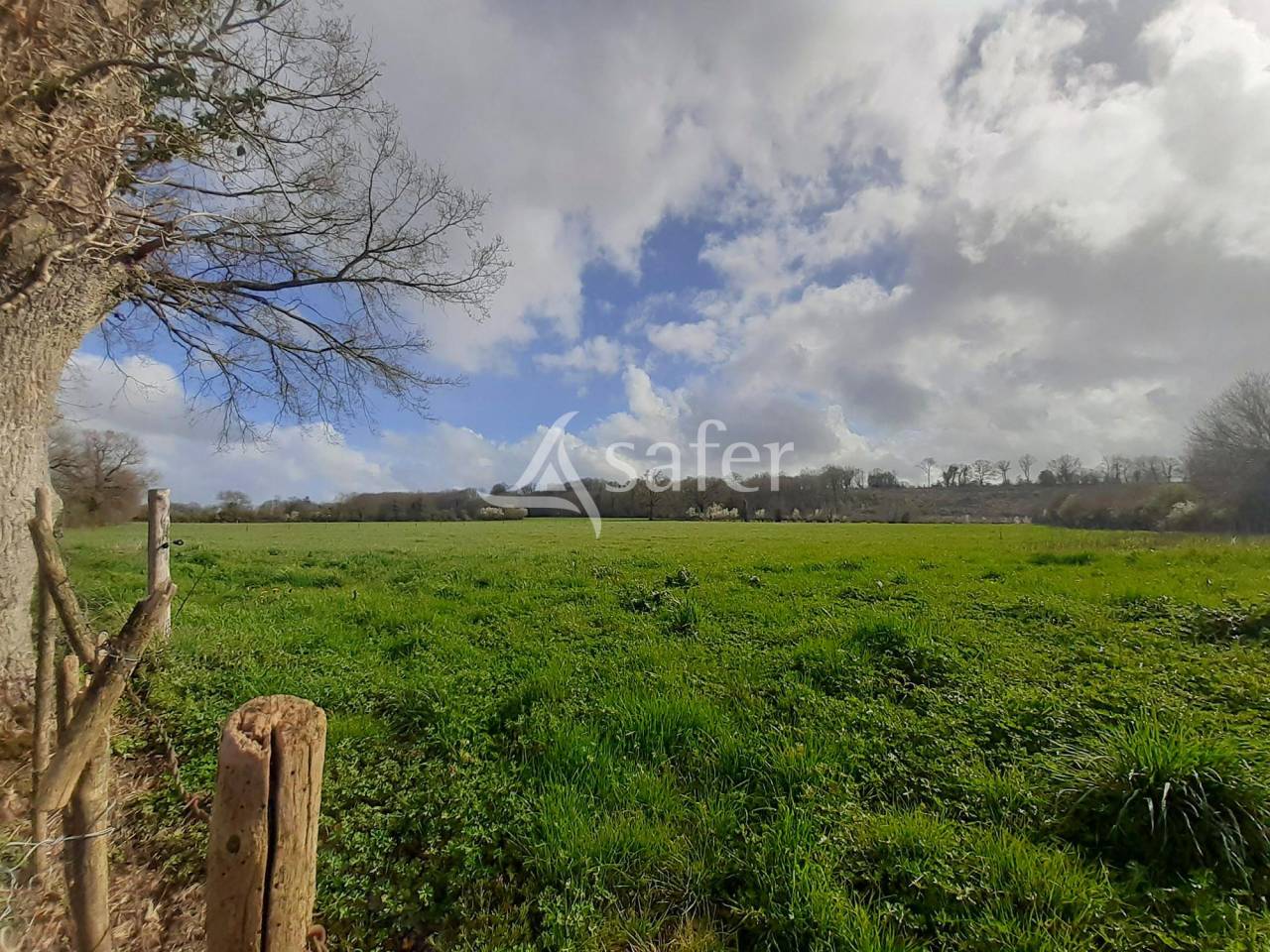 Sheep farm  Deux-Sèvres
