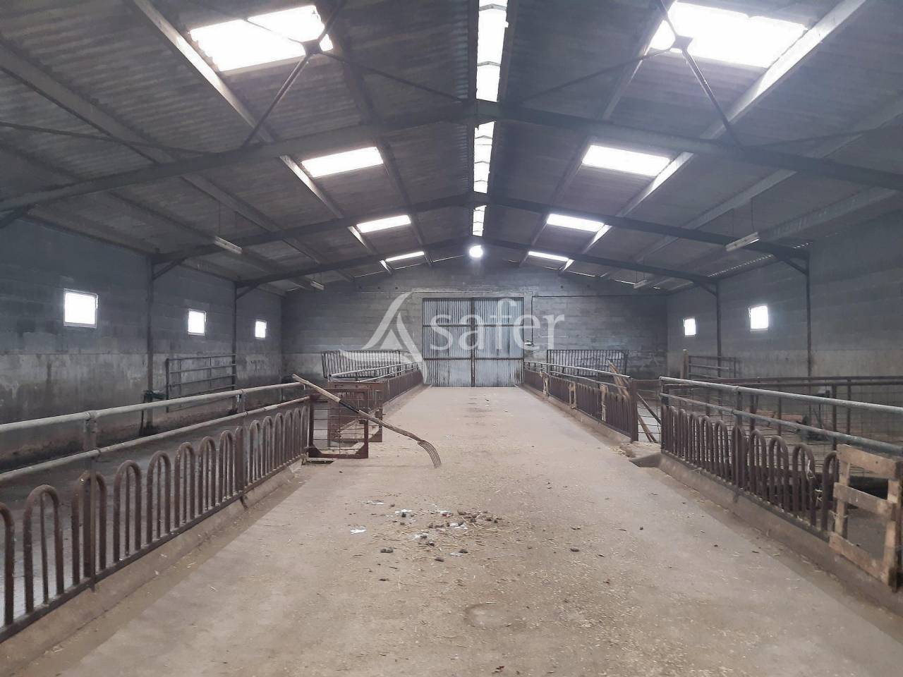 Sheep farm  Deux-Sèvres