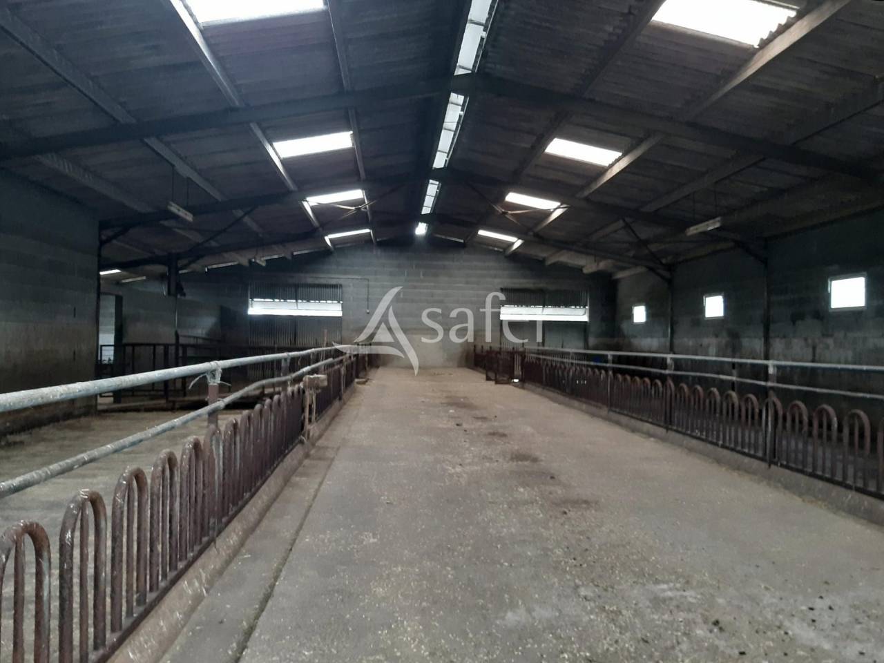 Sheep farm  Deux-Sèvres