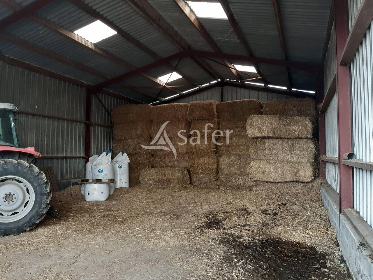 Sheep farm  Deux-Sèvres