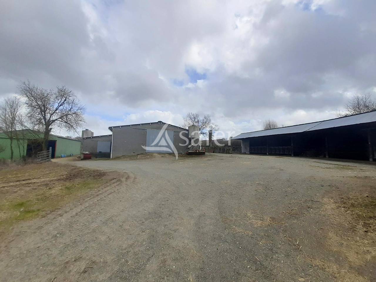 Sheep farm  Deux-Sèvres