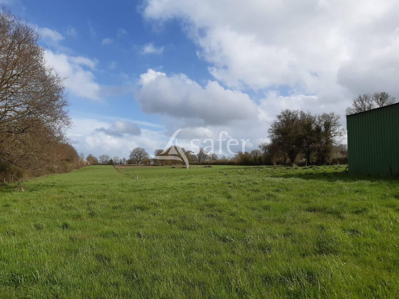 Sheep farm  Deux-Sèvres