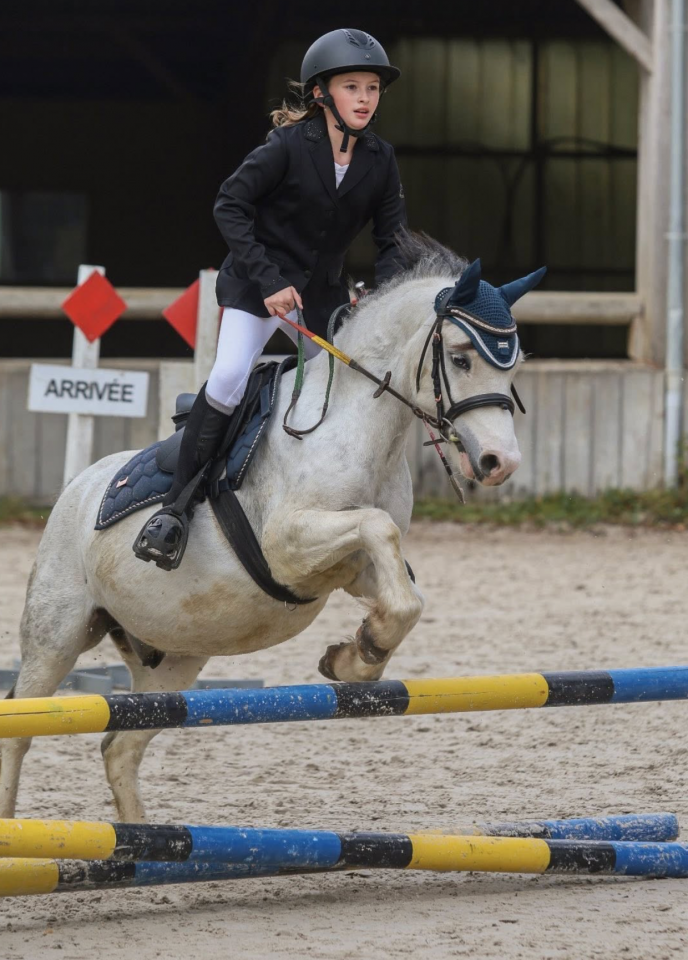 Gelding Welsh Pony (Section B) For sale 2017 Grey