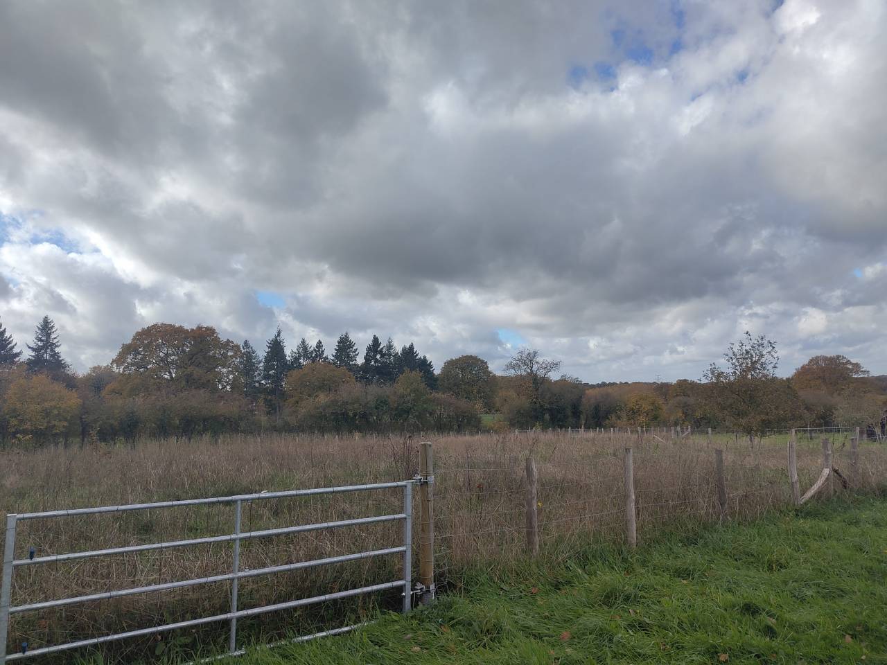 Equestrian farm  Sarthe