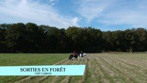 Equestrian property  Indre-et-Loire