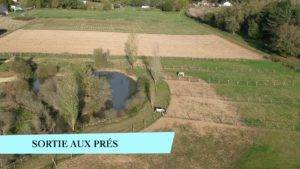 Equestrian property  Indre-et-Loire