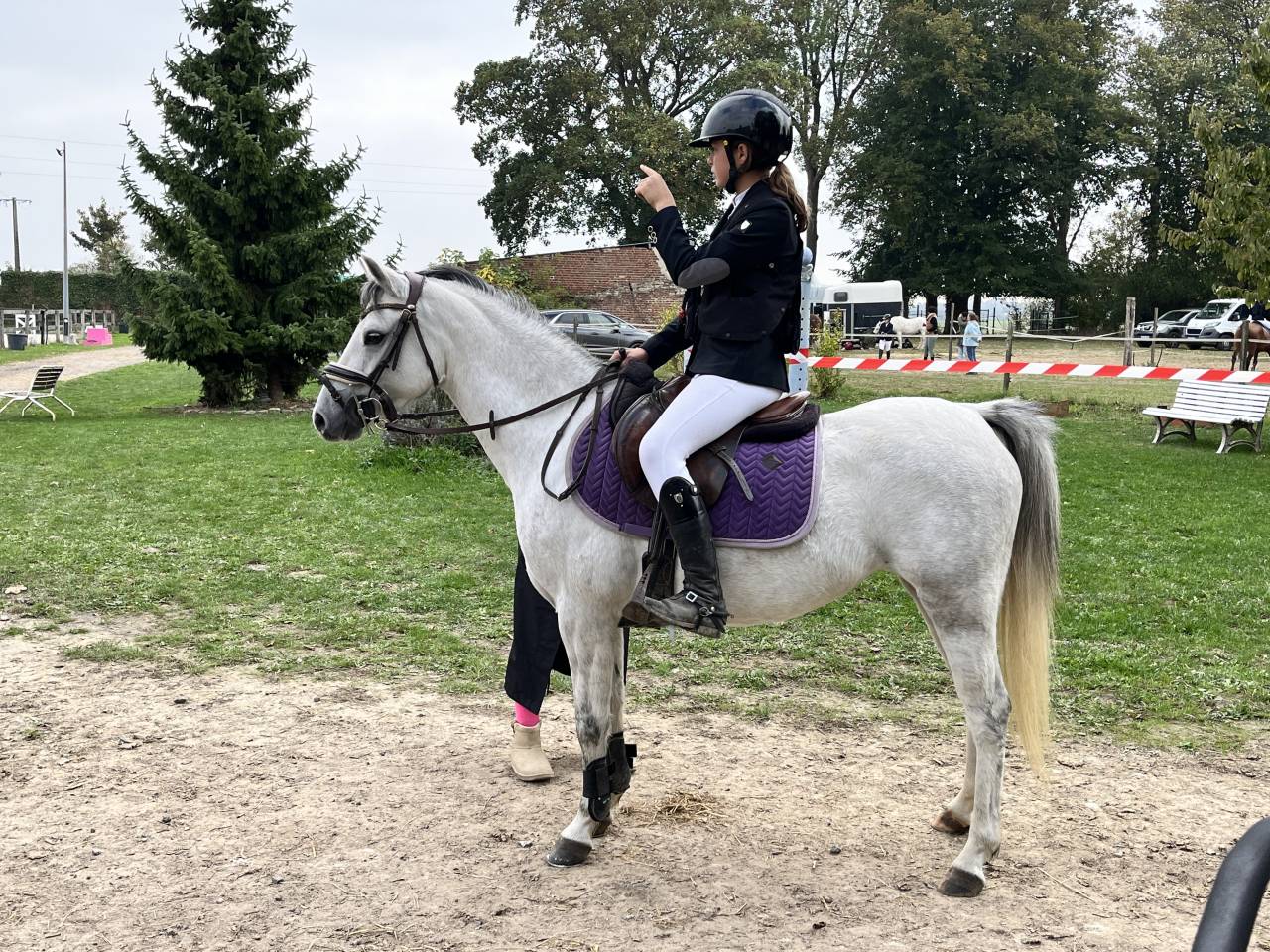 Mare Welsh Pony (Section C) For sale 2019 Grey