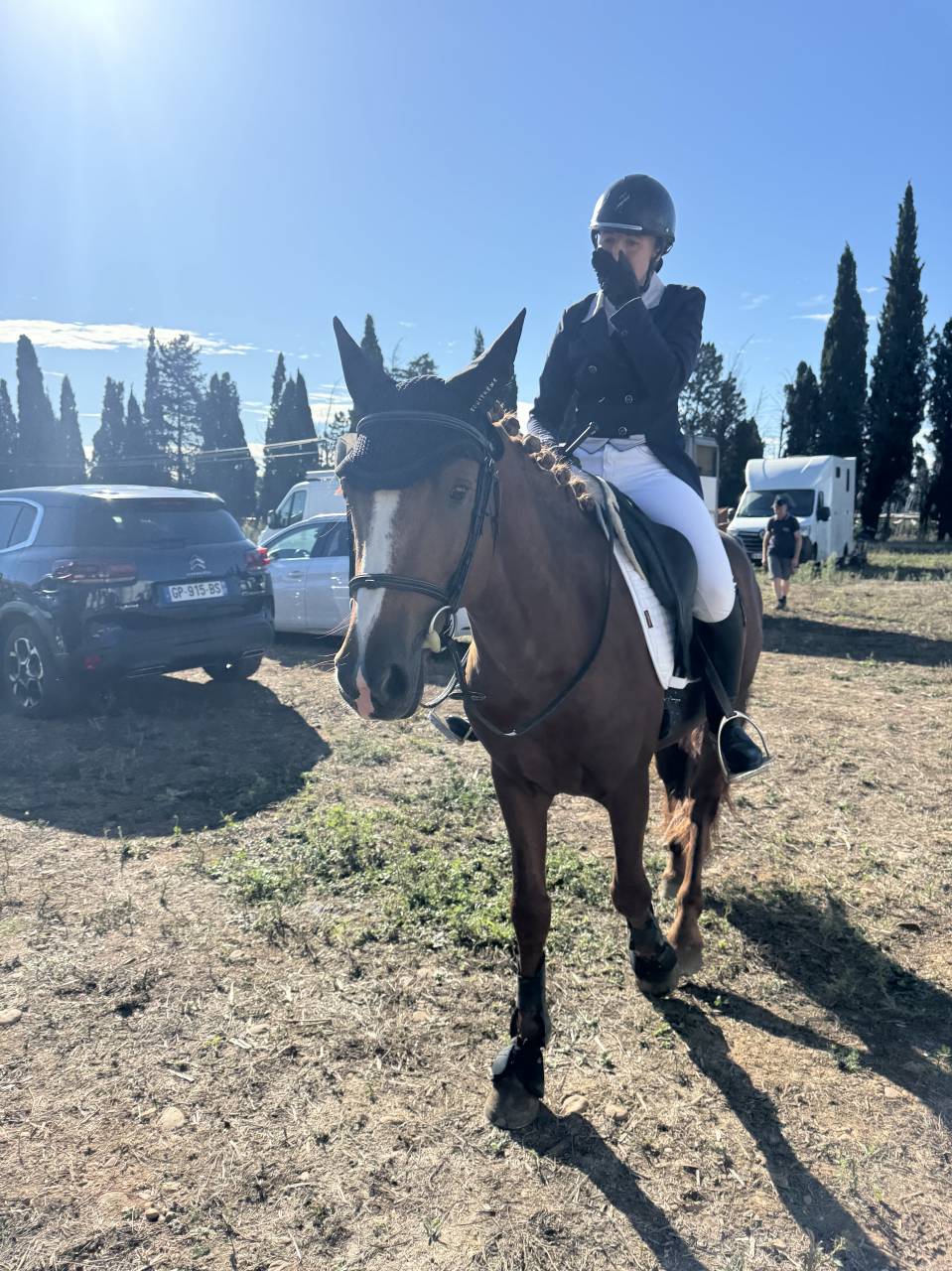 Entire Connemara For sale 2021 Chesnut