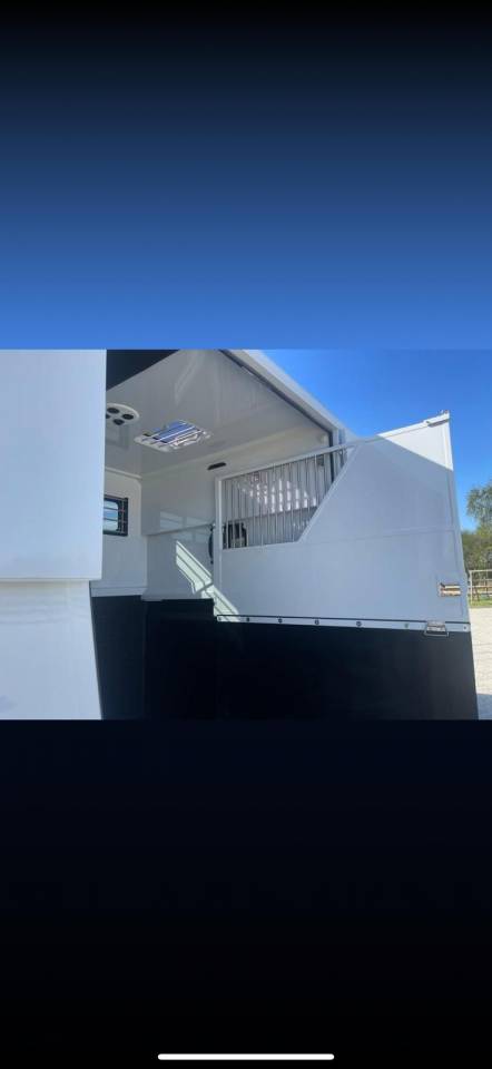 Horsebox HGV Chardron Renault Master 2023 New