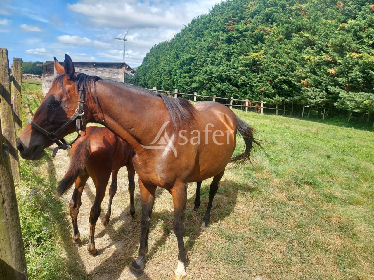 Equestrian property  Loire-Atlantique