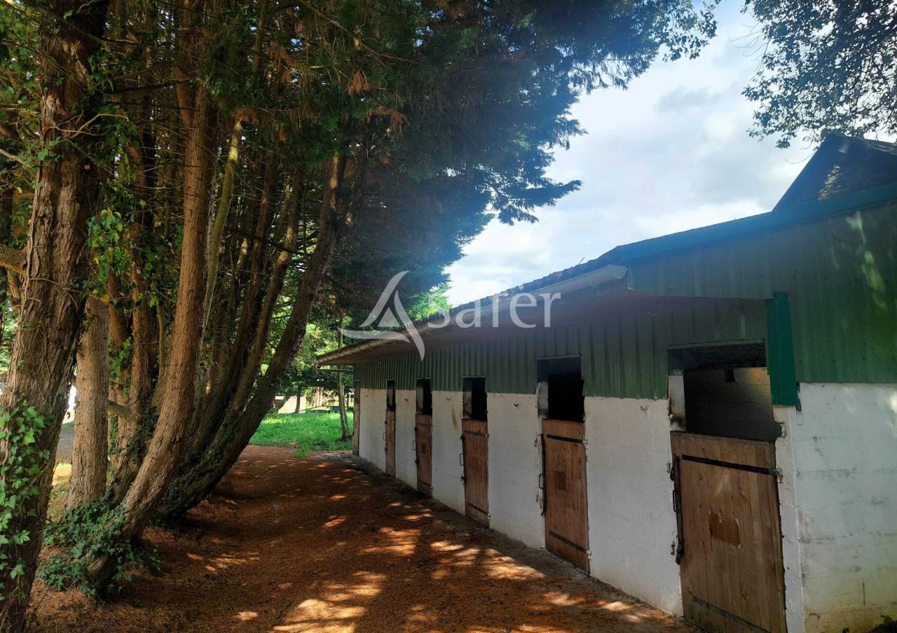 Equestrian property  Loire-Atlantique
