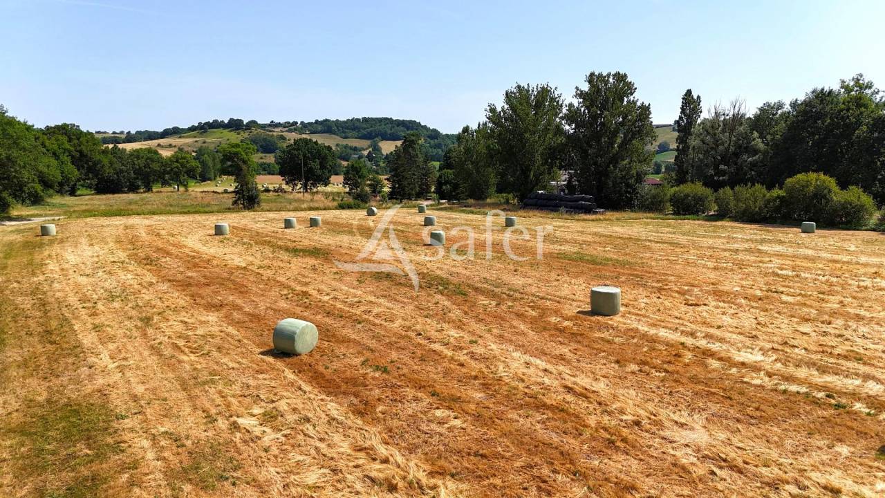 Equestrian property  Tarn-et-Taronne