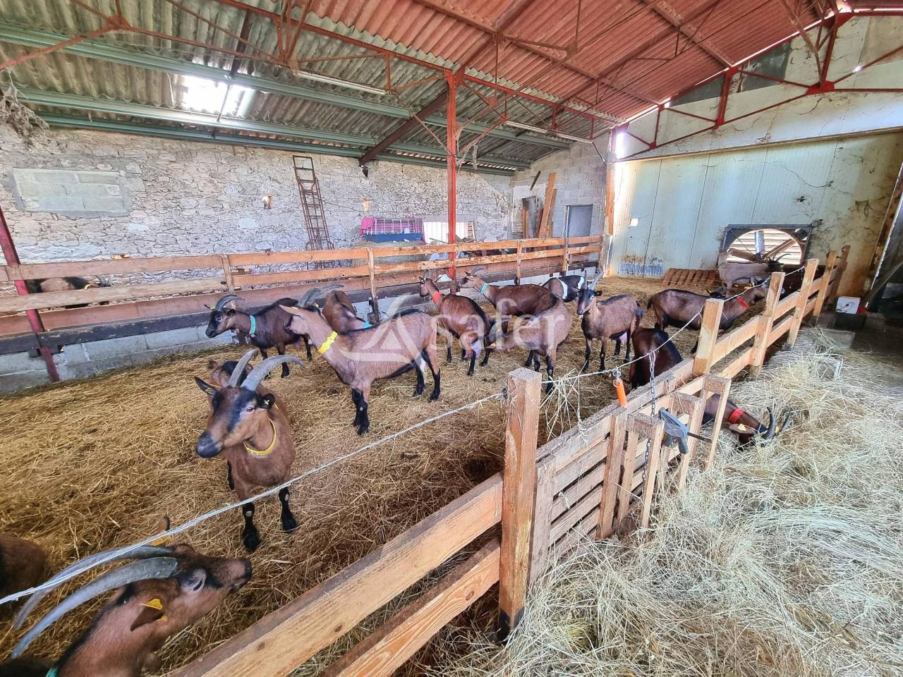 Equestrian property  Tarn-et-Taronne