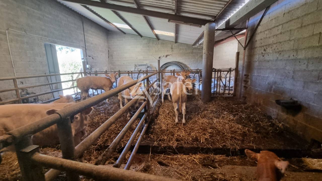 Other agricultural property  Gers