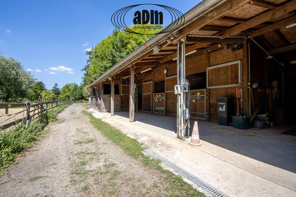 Luxurious equestrian property  Seine-et-Marne