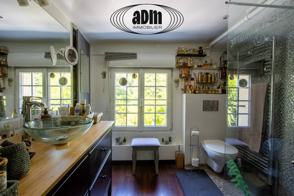 Luxurious equestrian property  Seine-et-Marne