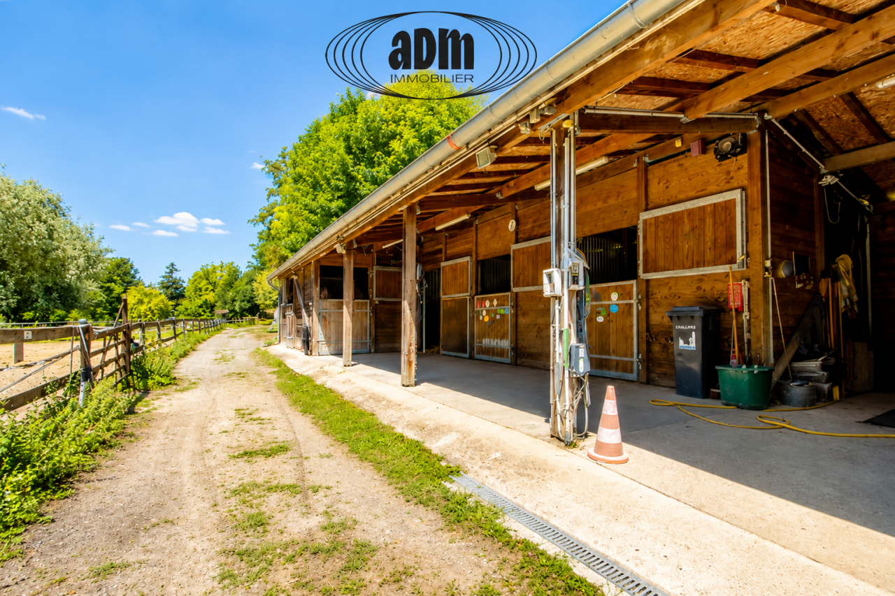 Luxurious equestrian property  Seine-et-Marne