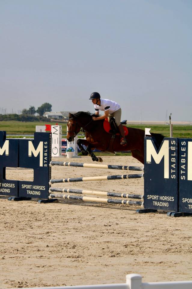 Mare KWPN Dutch Warmblood For sale 2014 Bay