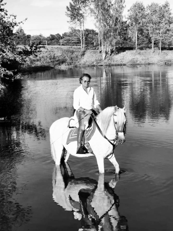 Gelding PRE Pure Spanish Bred For sale 2008 Grey