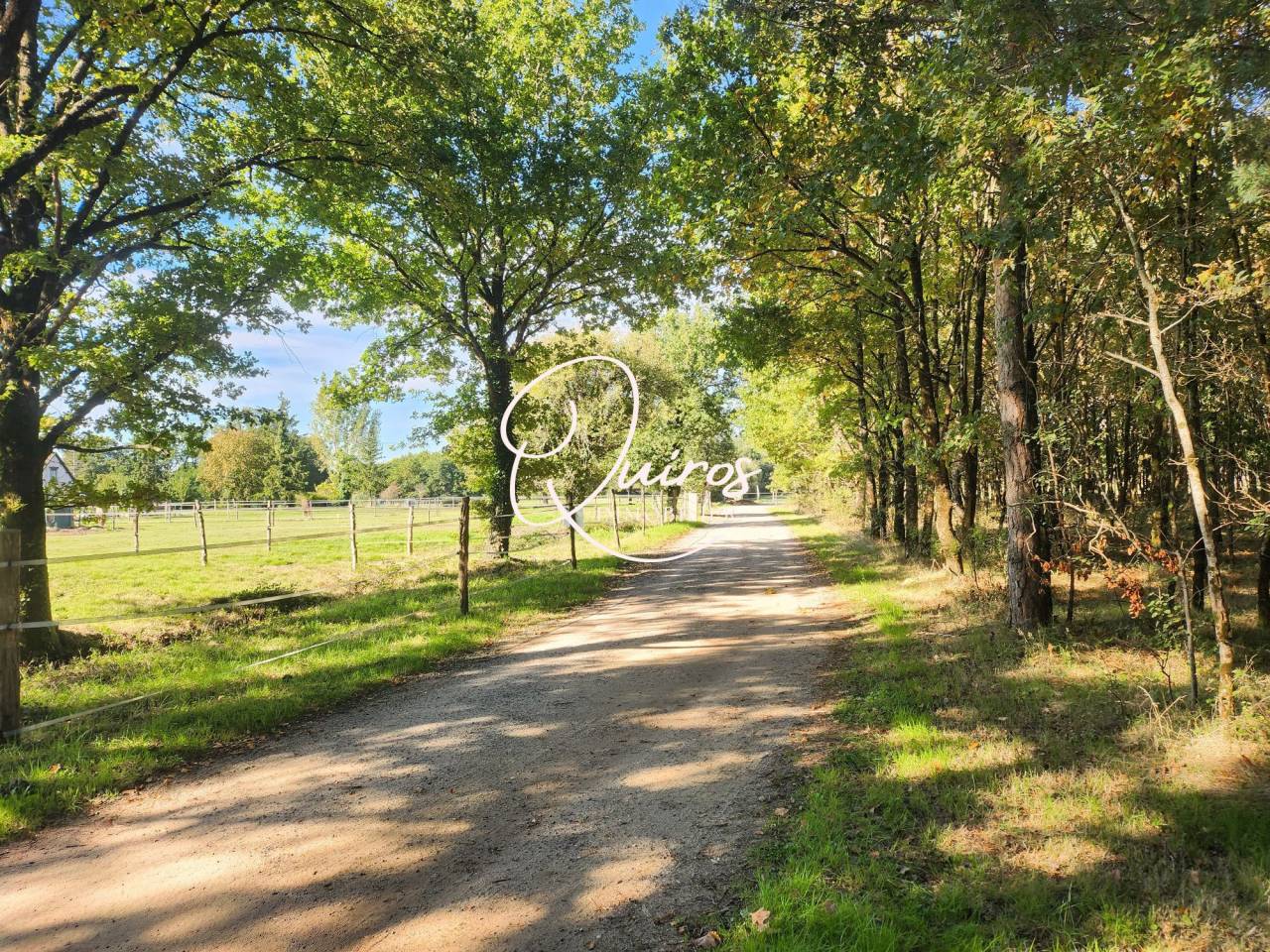 Equestrian property  Loir-et-Cher