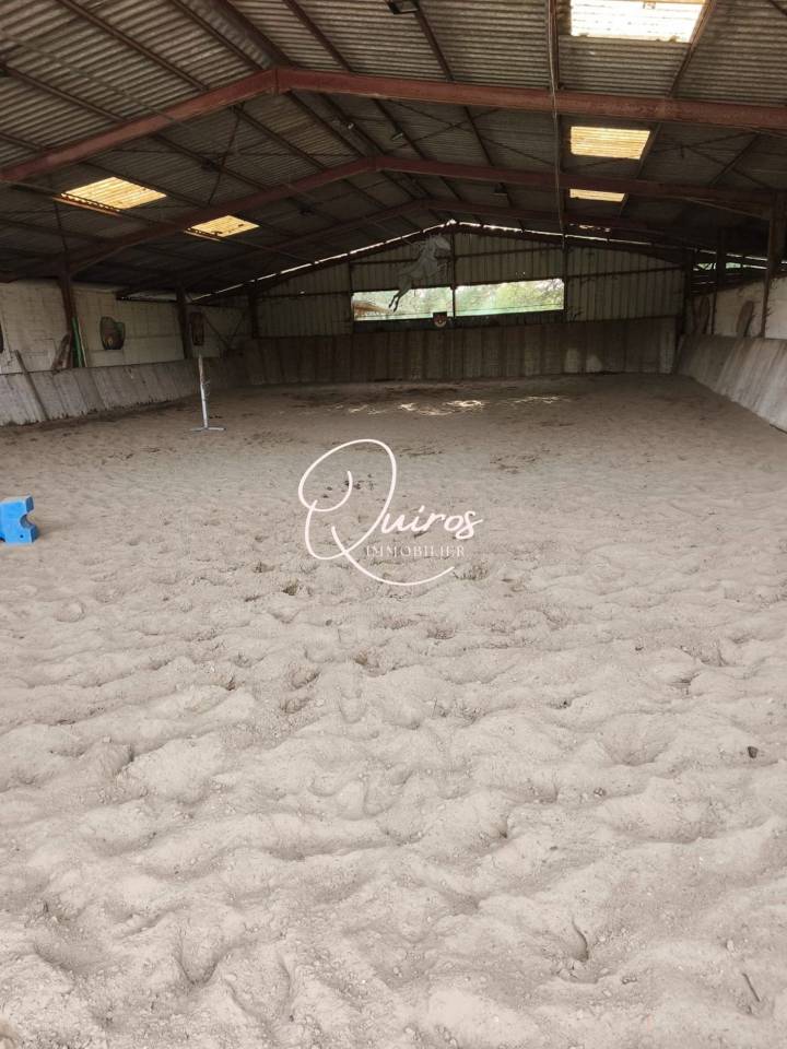 Equestrian property  Loir-et-Cher