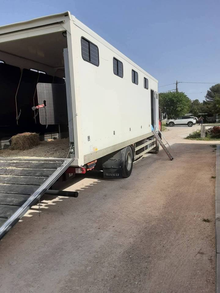 Horsebox NON-HGV Renault Premium  2010 Used