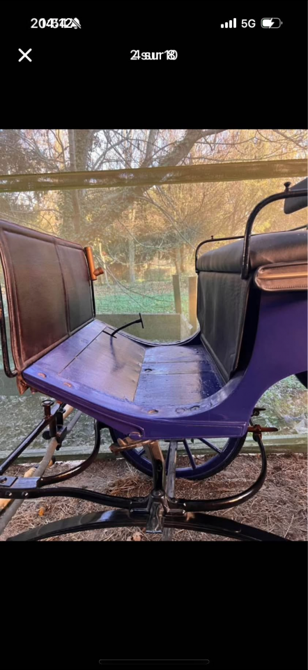 Carriage - Victoria - Other brand -  