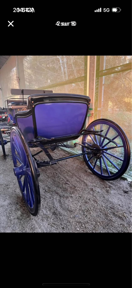 Carriage - Victoria - Other brand -  