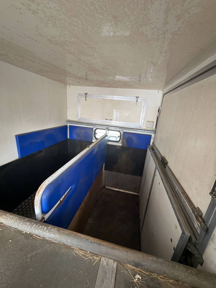 Horsebox HGV Citroen Jumper 2001 Used