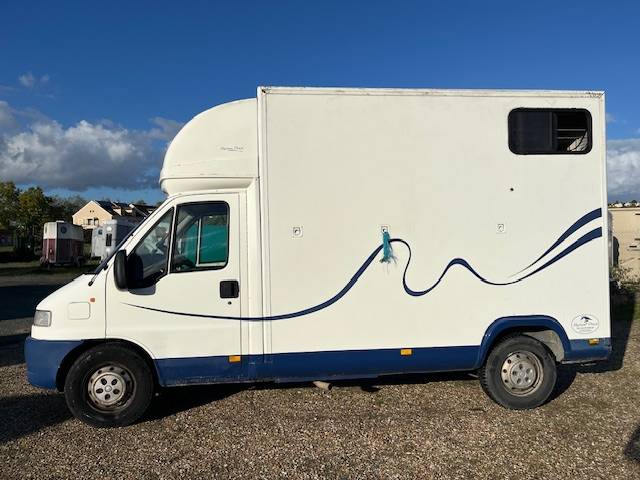 Horsebox HGV Citroen Jumper 2001 Used
