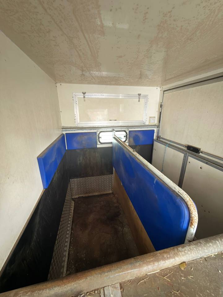 Horsebox HGV Citroen Jumper 2001 Used